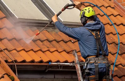 Démoussage et hydrofuge de toiture à Lobsann